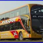Teléfonos 0800 El Pulqui